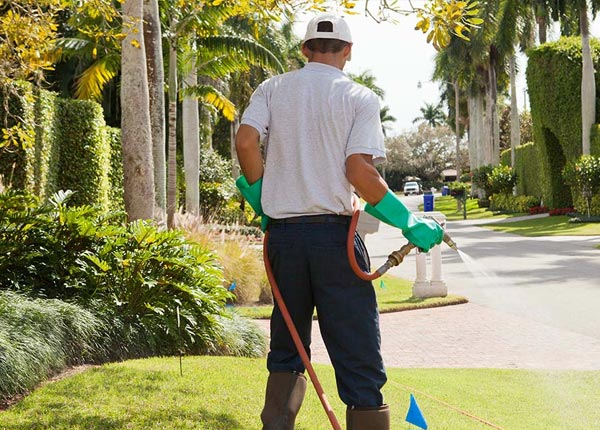About Pleasant Hill IL Pest Control